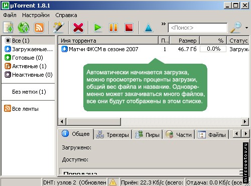 После подтверждения установок, программа тут же начнет скачивать необходимый Вам файл