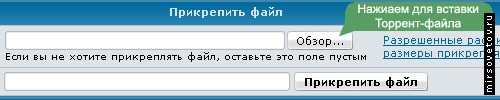 Нажимаем для вставки торрент-файла...